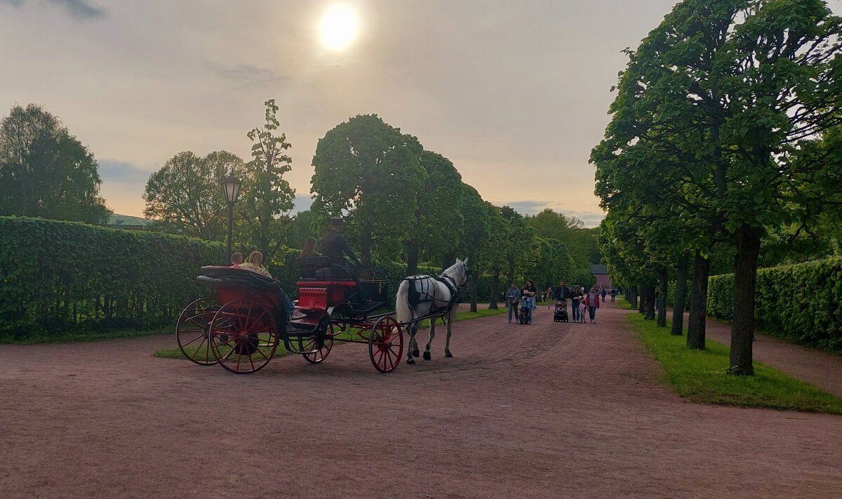 Вечерняя прогулка по Коломенскому - ИРЭН@ . Вечерняя прогулка по Коломенскому - ИРЭН@ .
