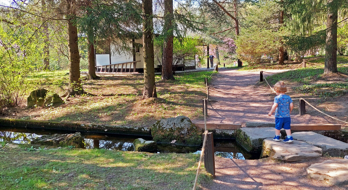 Прогулка - ИРЭН@ . Прогулка - ИРЭН@ .