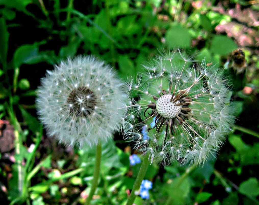 Улетаем в лето - Елена Семигина