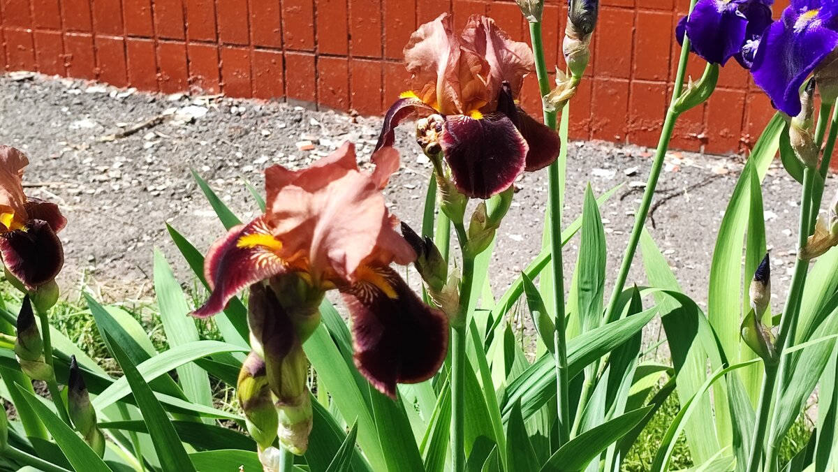 ,,, - Сергей Тимоновский