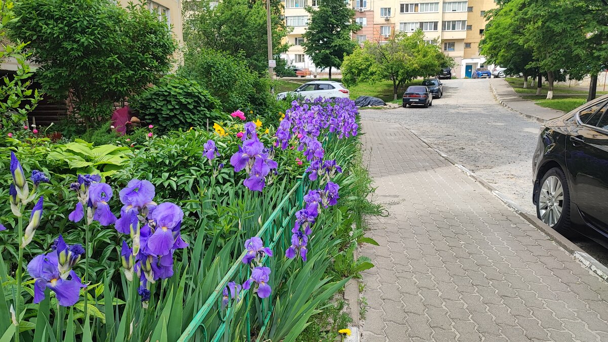 ,,, - Сергей Тимоновский ,,, - Сергей Тимоновский