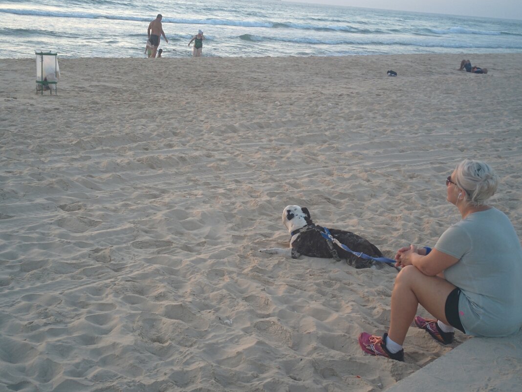 " - Светлана Хращевская