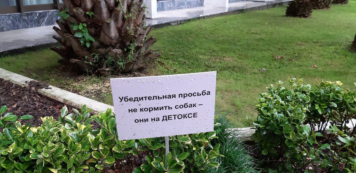 У входа в "Самшитовую рощу" - Ольга У входа в "Самшитовую рощу" - Ольга