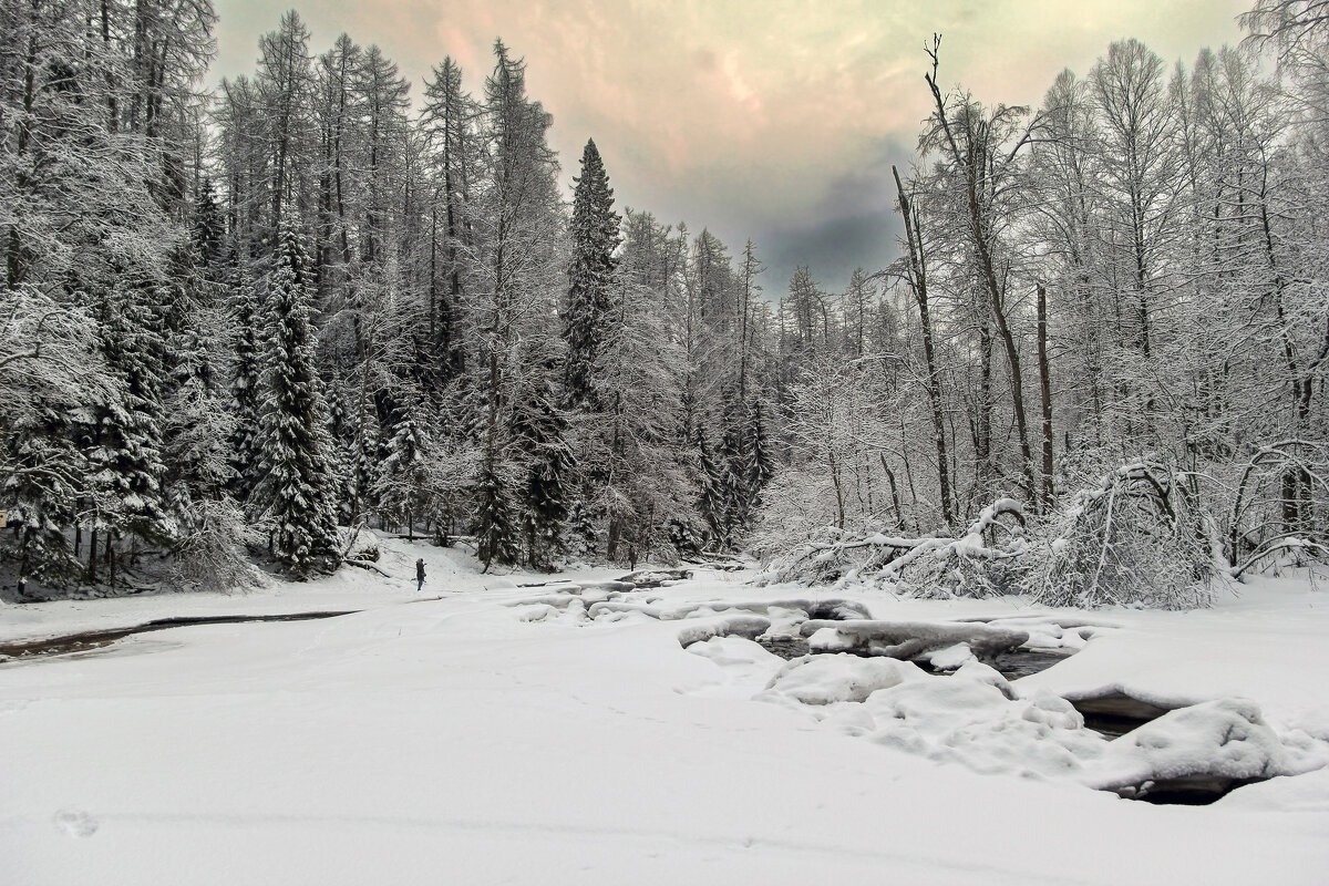 Линдуловская роща - skijumper Иванов