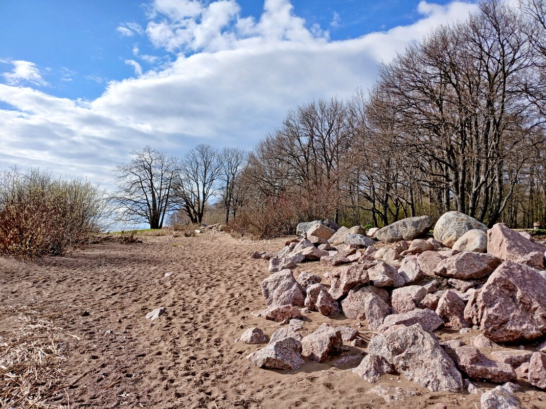 Берег Финского залива. - Лия ☼ Берег Финского залива. - Лия ☼