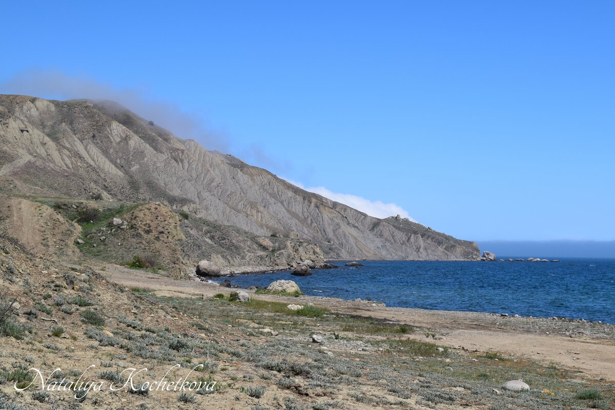 Природа Крыма - Amazing Cosmea Природа Крыма - Amazing Cosmea