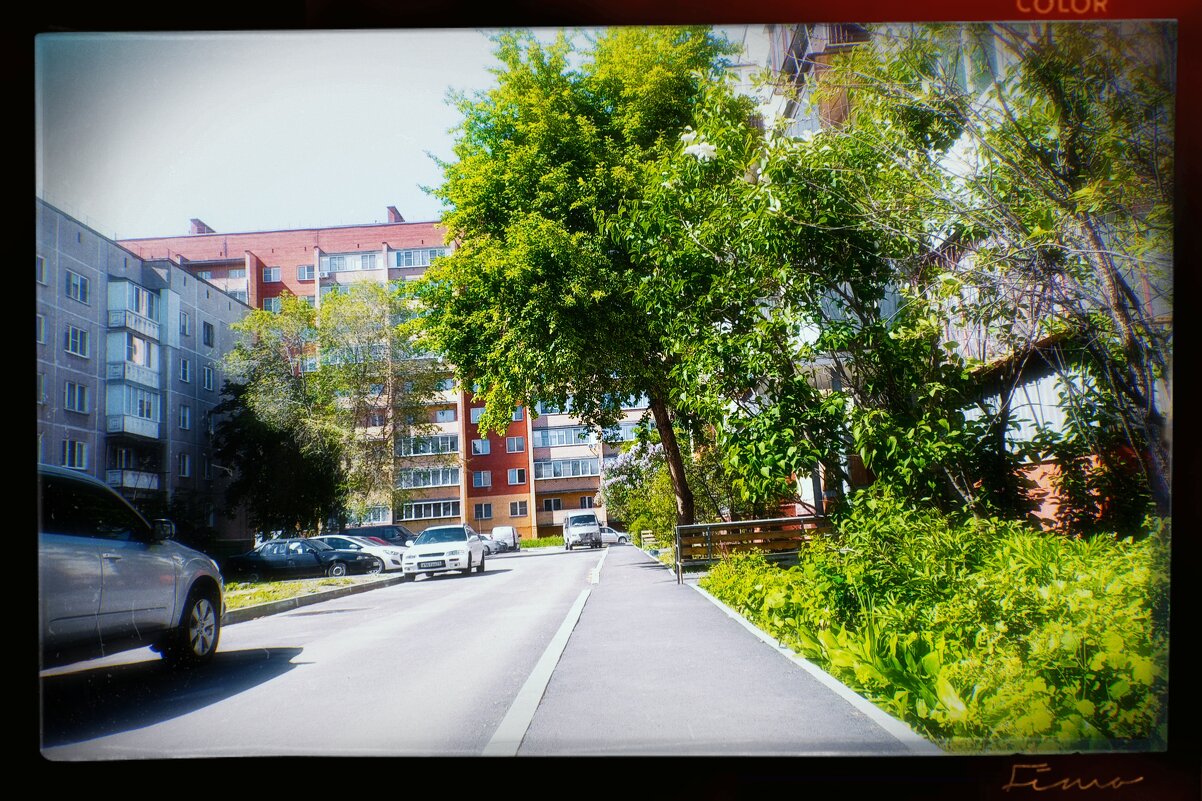 Летний путь - Игорь Солдаткин