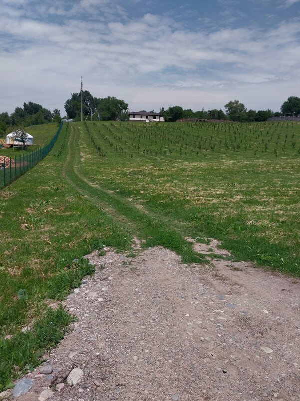 Talgar. - Murat Bukaev 