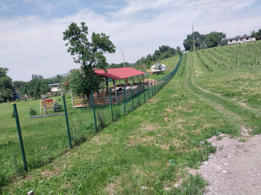 Talgar. - Murat Bukaev 