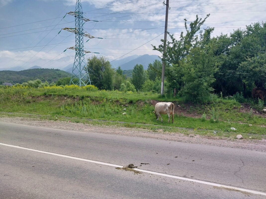 Talgar. - Murat Bukaev 