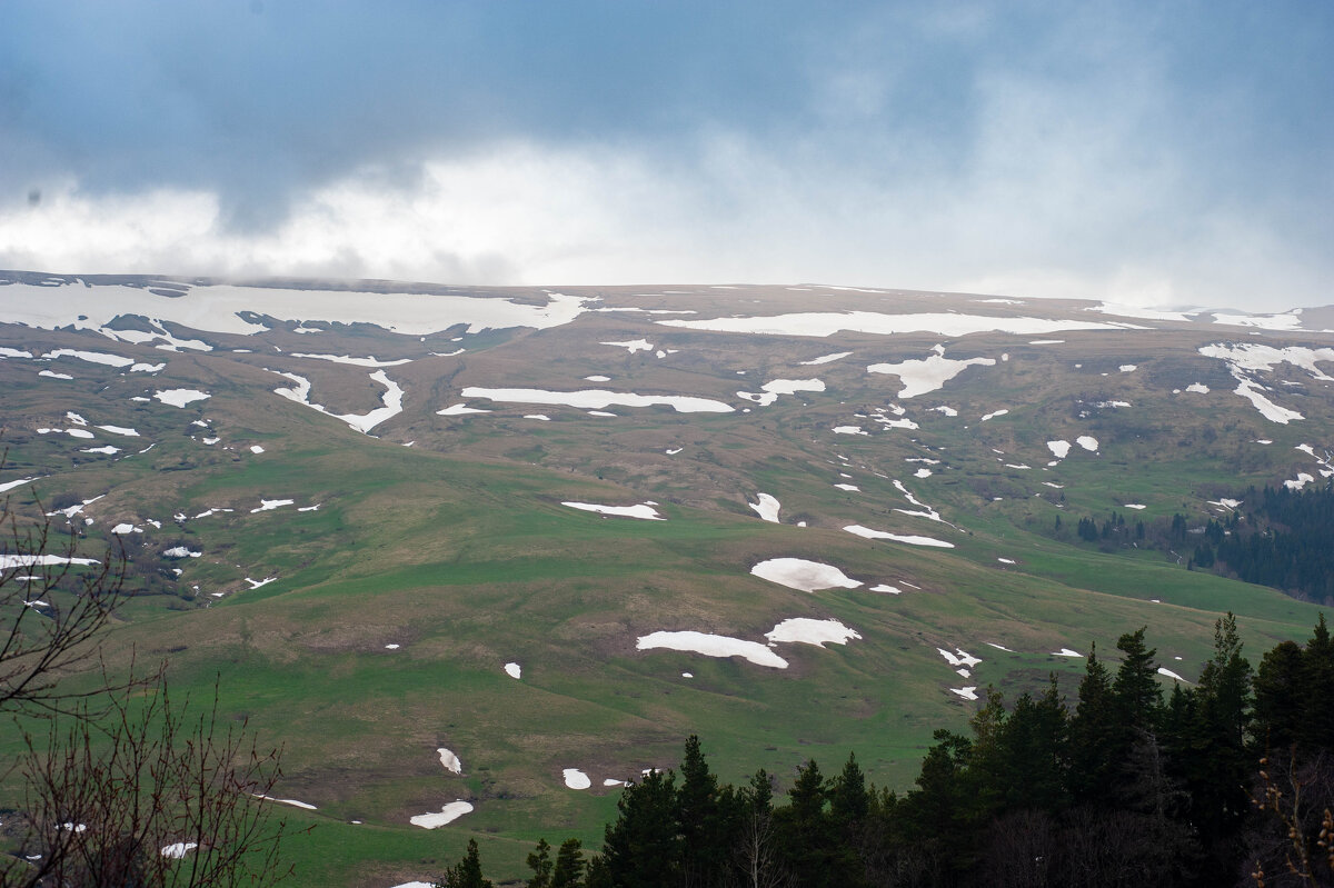 Альпийские луга Лаг-Наки - Виктор Скаков Альпийские луга Лаг-Наки - Виктор Скаков