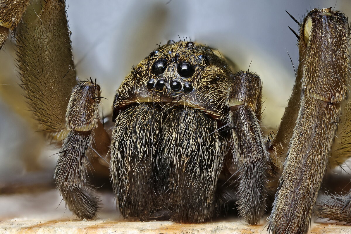 . - Игорь Осипов