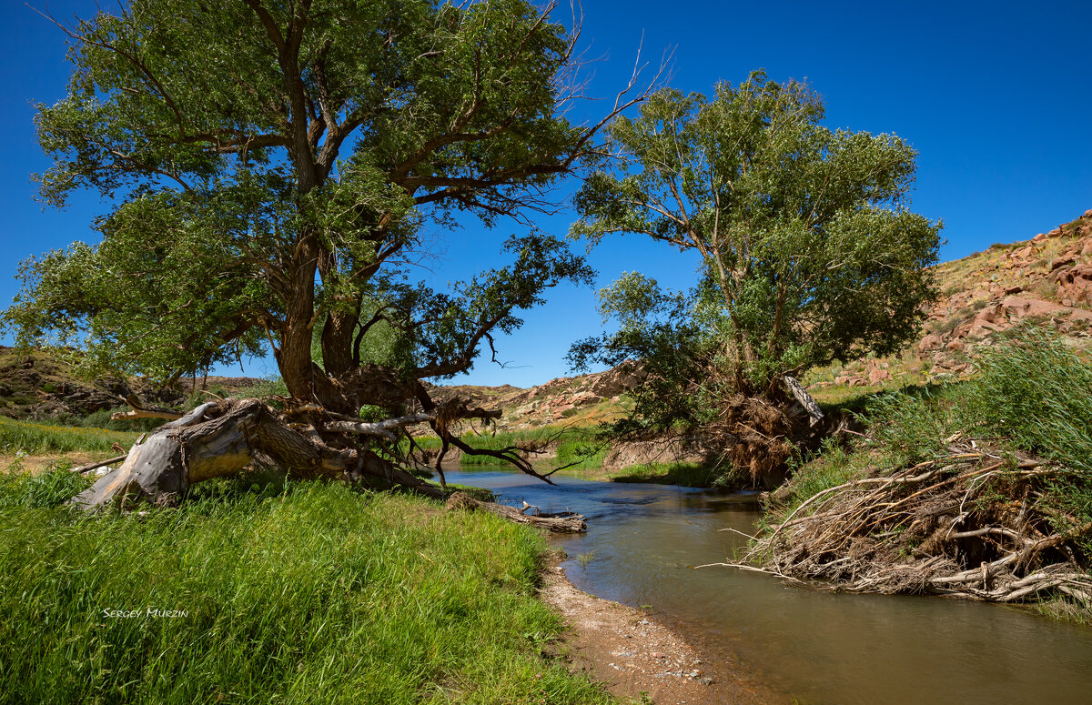 *** - Сергей Мурзин *** - Сергей Мурзин