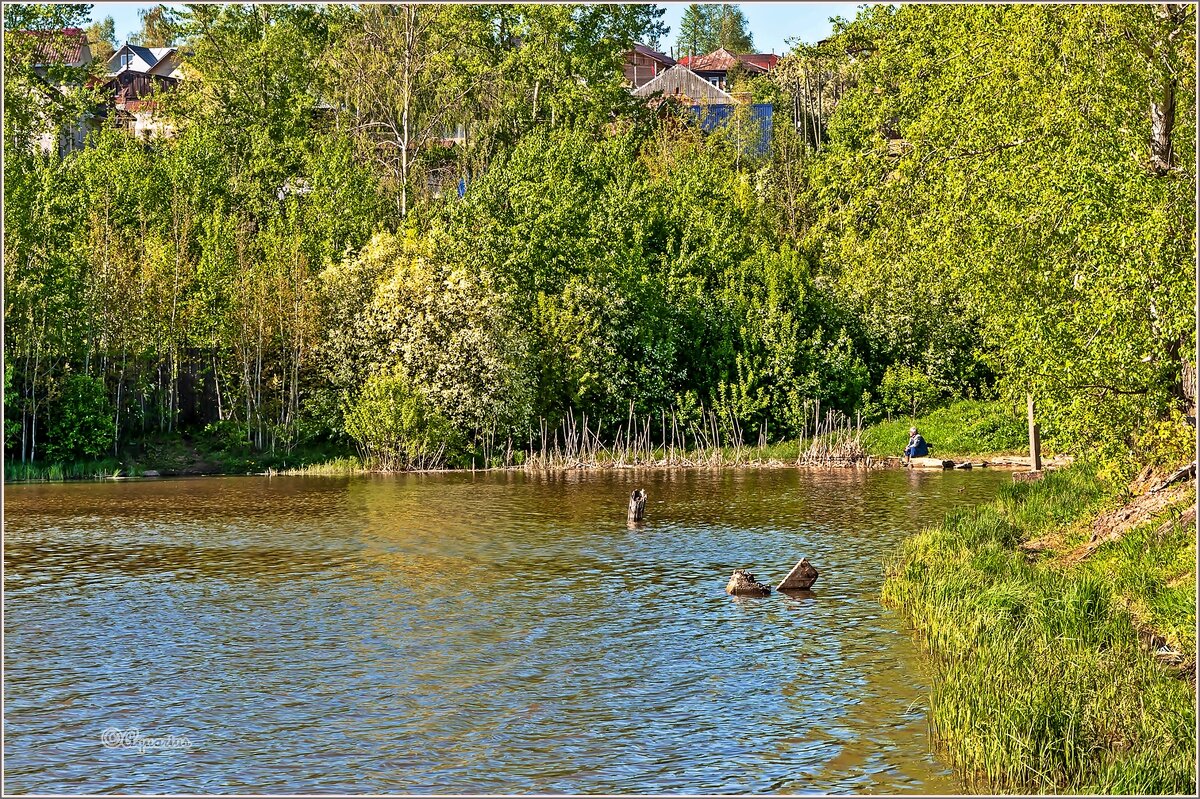 Под майским солнцем - Aquarius - Сергей