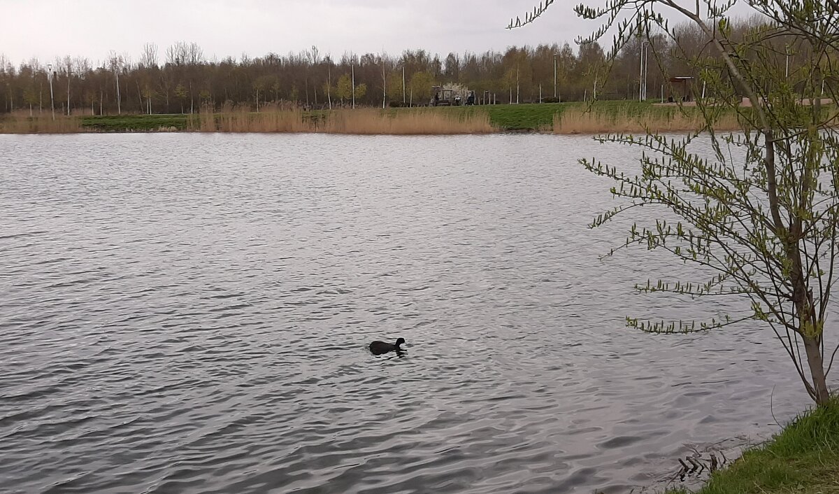 Неласковый май - Наталья Герасимова Неласковый май - Наталья Герасимова