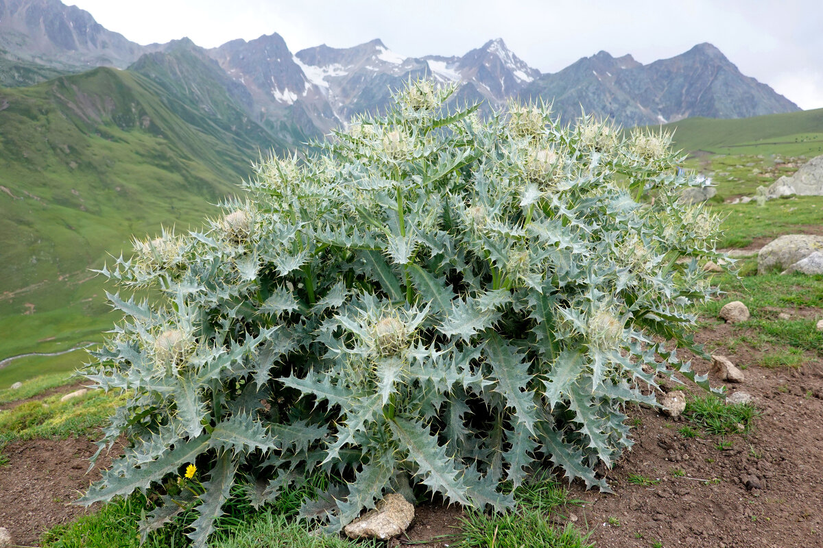 КБ - Андрей Л. В. КБ - Андрей Л. В.