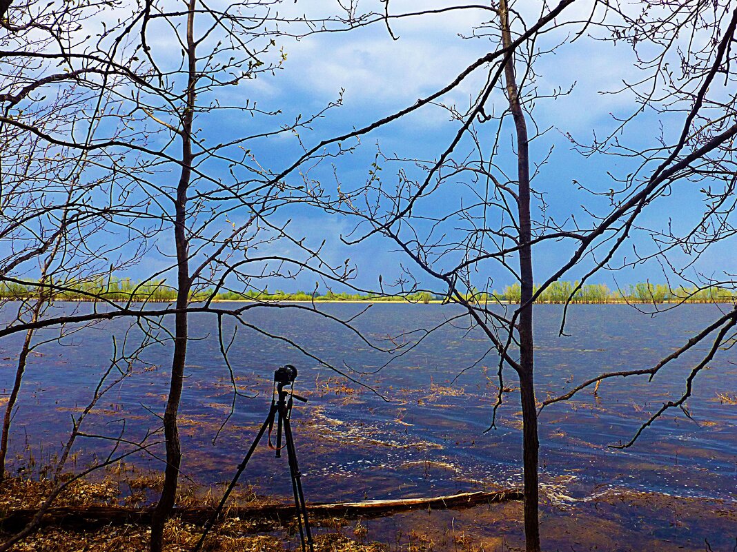 Май...Разлив протоки Сырой Аган! - Владимир Май...Разлив протоки Сырой Аган! - Владимир