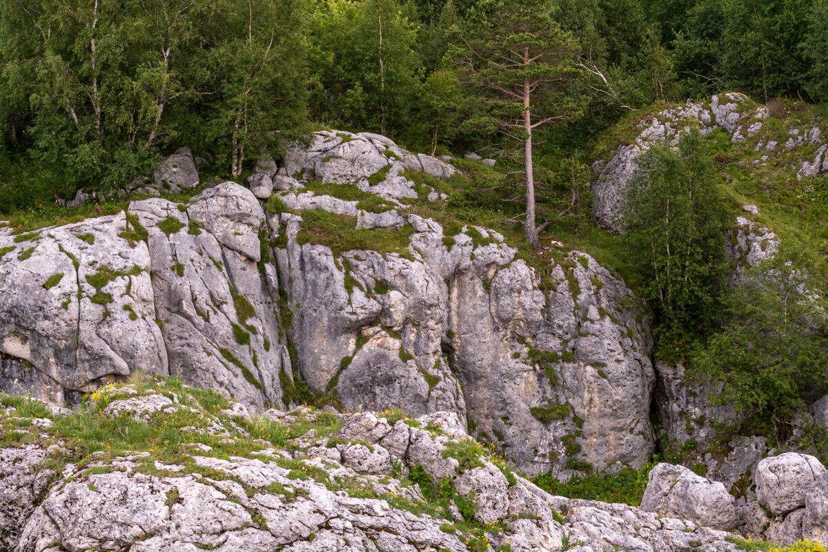 В горах - Игорь Сикорский