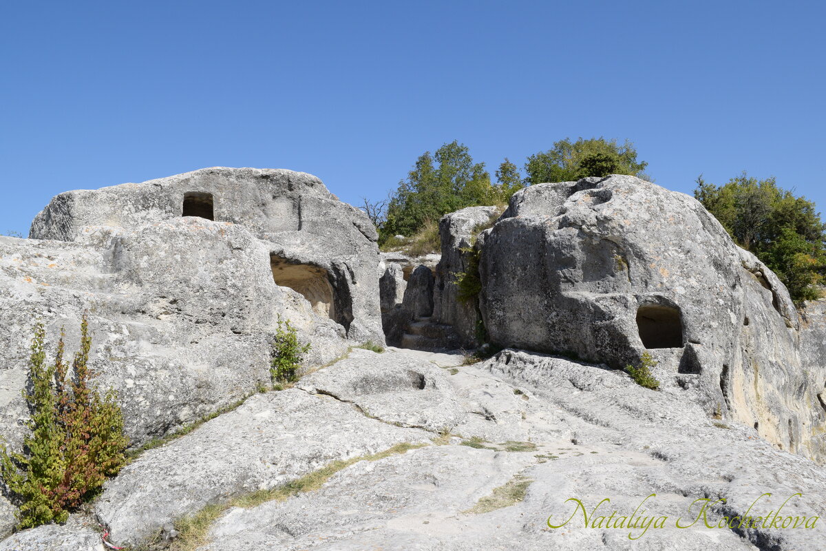 Природа Крыма - Amazing Cosmea Природа Крыма - Amazing Cosmea
