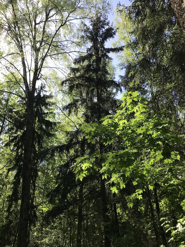 Место силы! - Любовь Место силы! - Любовь