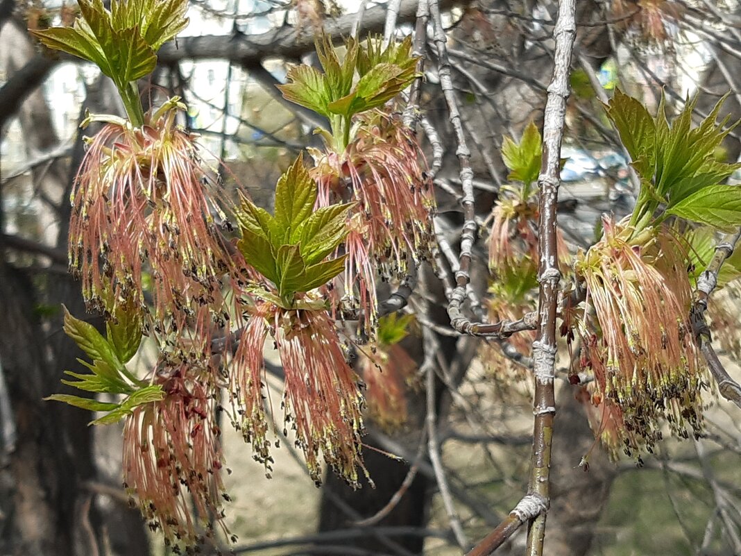 Это было недавно... - Галина Минчук
