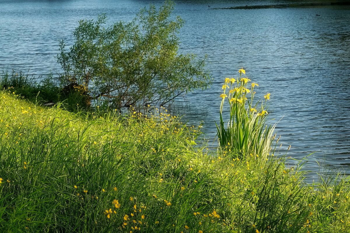 Ещё чуть - чуть и мы в ИЮНЕ! - Татьяна Помогалова