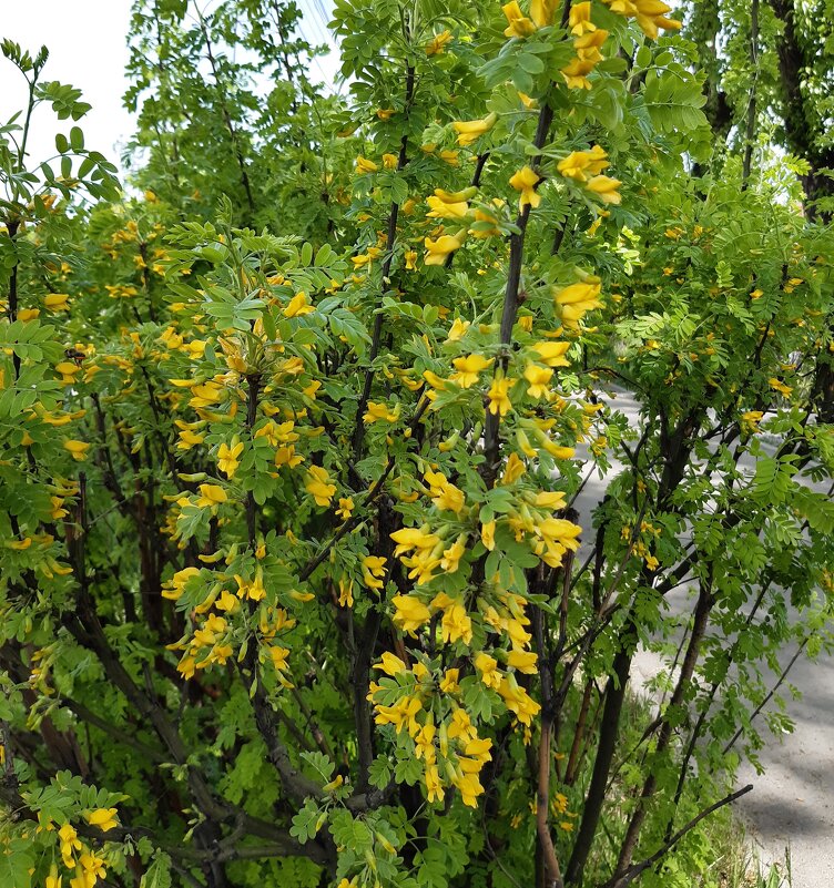 Это было недавно... - Галина Минчук Это было недавно... - Галина Минчук