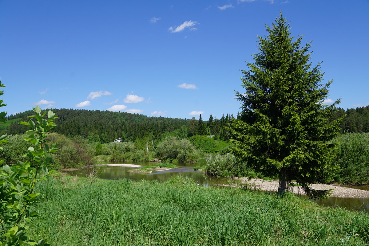 Лето - Наталия Григорьева
