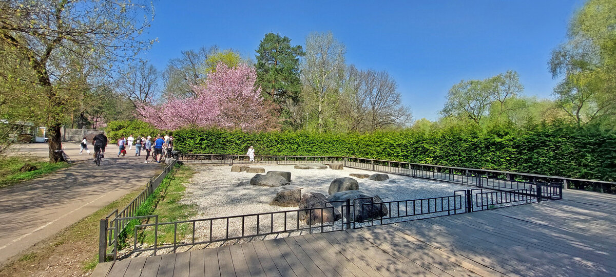 Сад камней - ИРЭН@ .