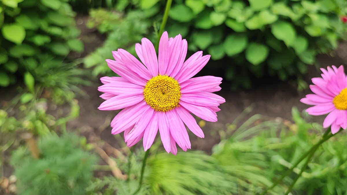 ,,, - Сергей Тимоновский