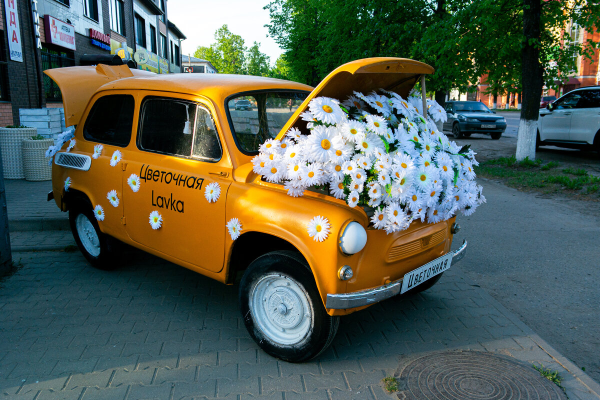 Машинка в центре города. - Светлана Мишенёва