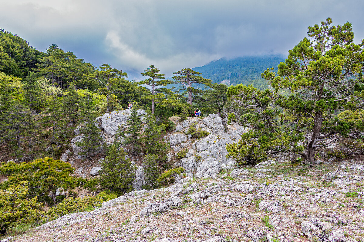 На видовых площадках заповедника - Юрий Яловенко На видовых площадках заповедника - Юрий Яловенко