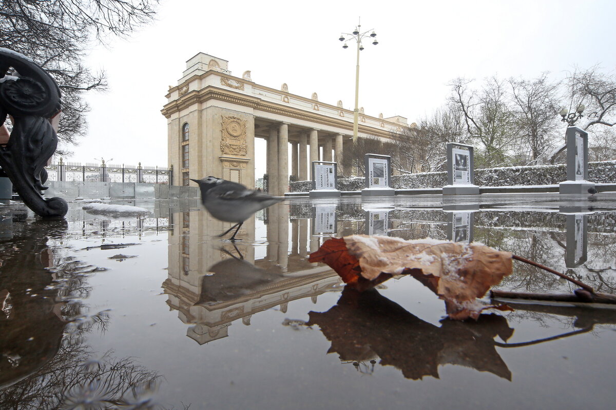 6 апреля в ЦПКиО - Михаил Бибичков