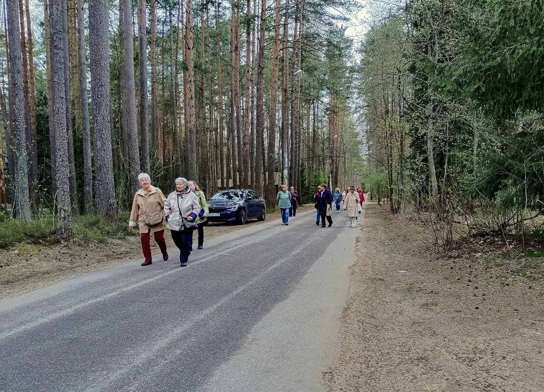 Экскурсанты - Мария Васильева Экскурсанты - Мария Васильева
