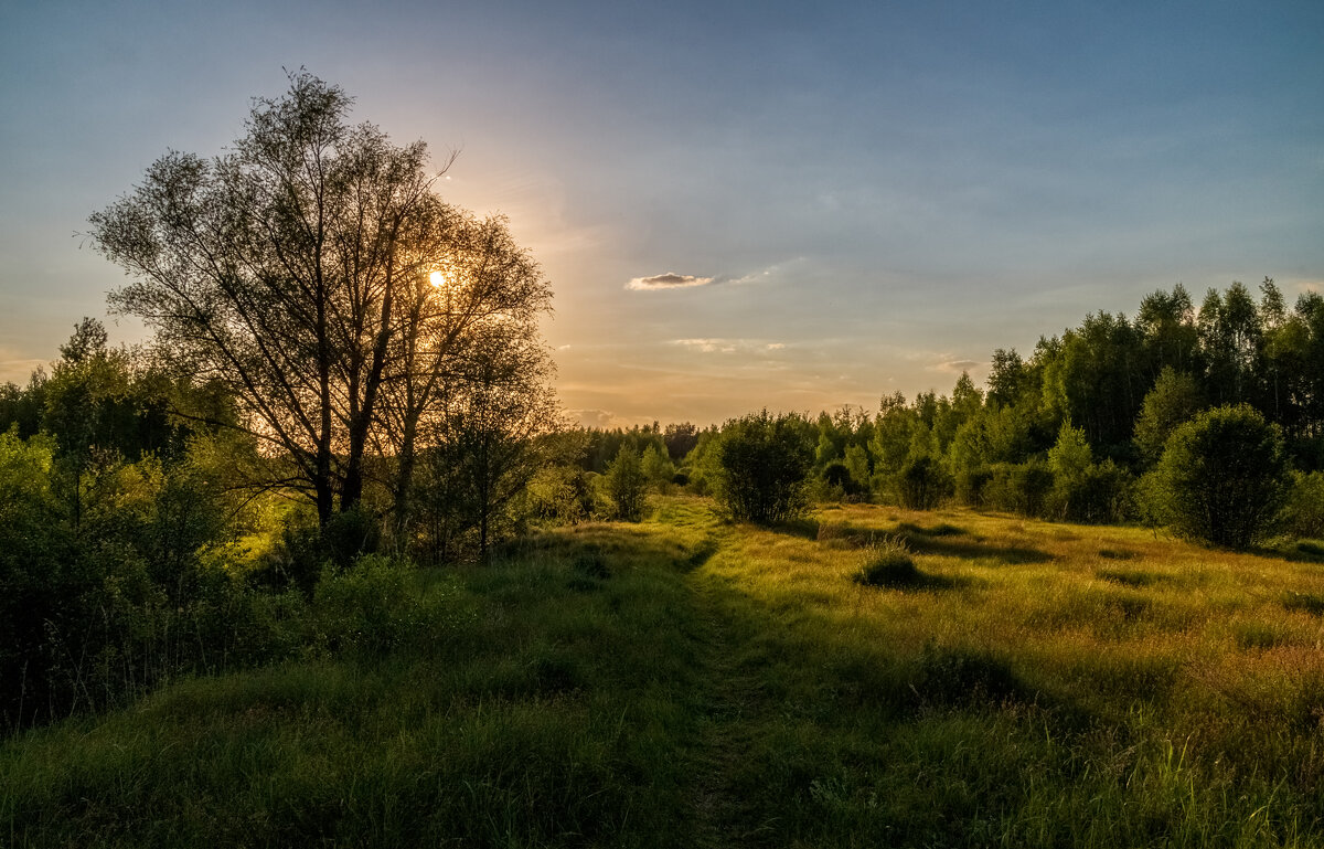 Вечер 25 Мая - Андрей Дворников