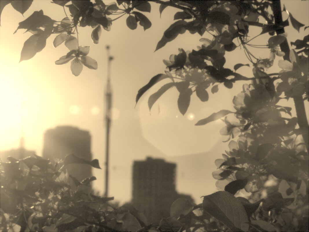 *** - Сергей Сергеев