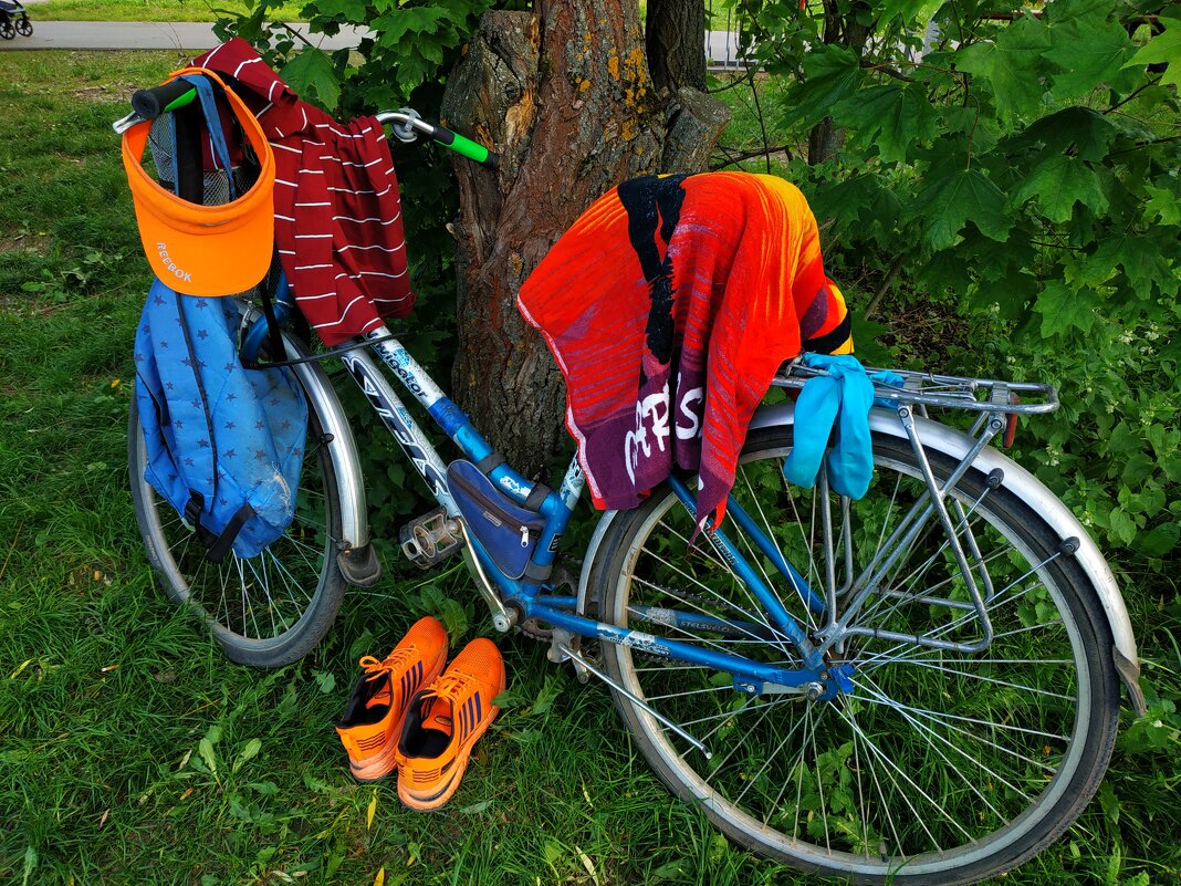 Ученый сделал открытие! (Открыл плавательный сезон) - Андрей Лукьянов Ученый сделал открытие! (Открыл плавательный сезон) - Андрей Лукьянов