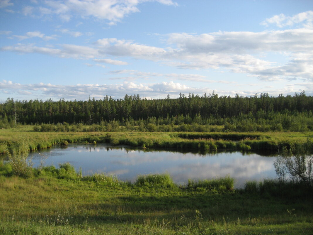 Лето - Anna Ivanova