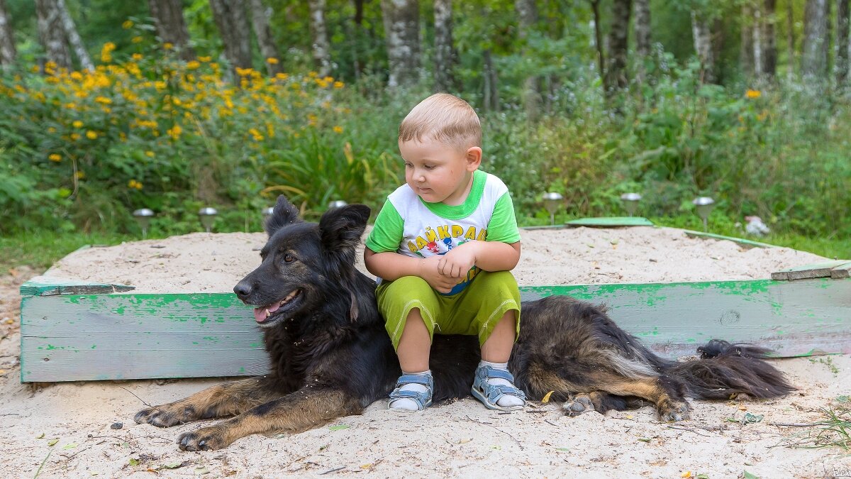 3831 - Alex . 3831 - Alex .