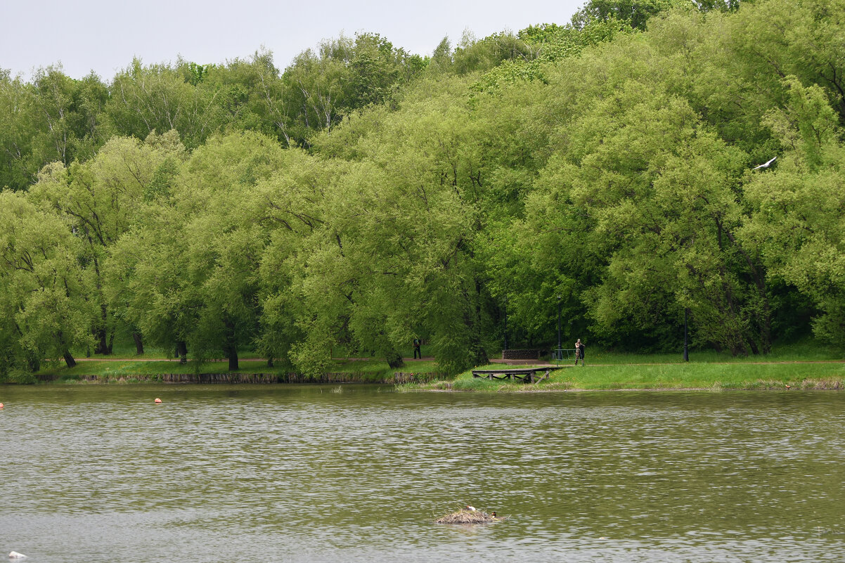 Москва. Парк Царицыно. - Наташа ***** Москва. Парк Царицыно. - Наташа *****