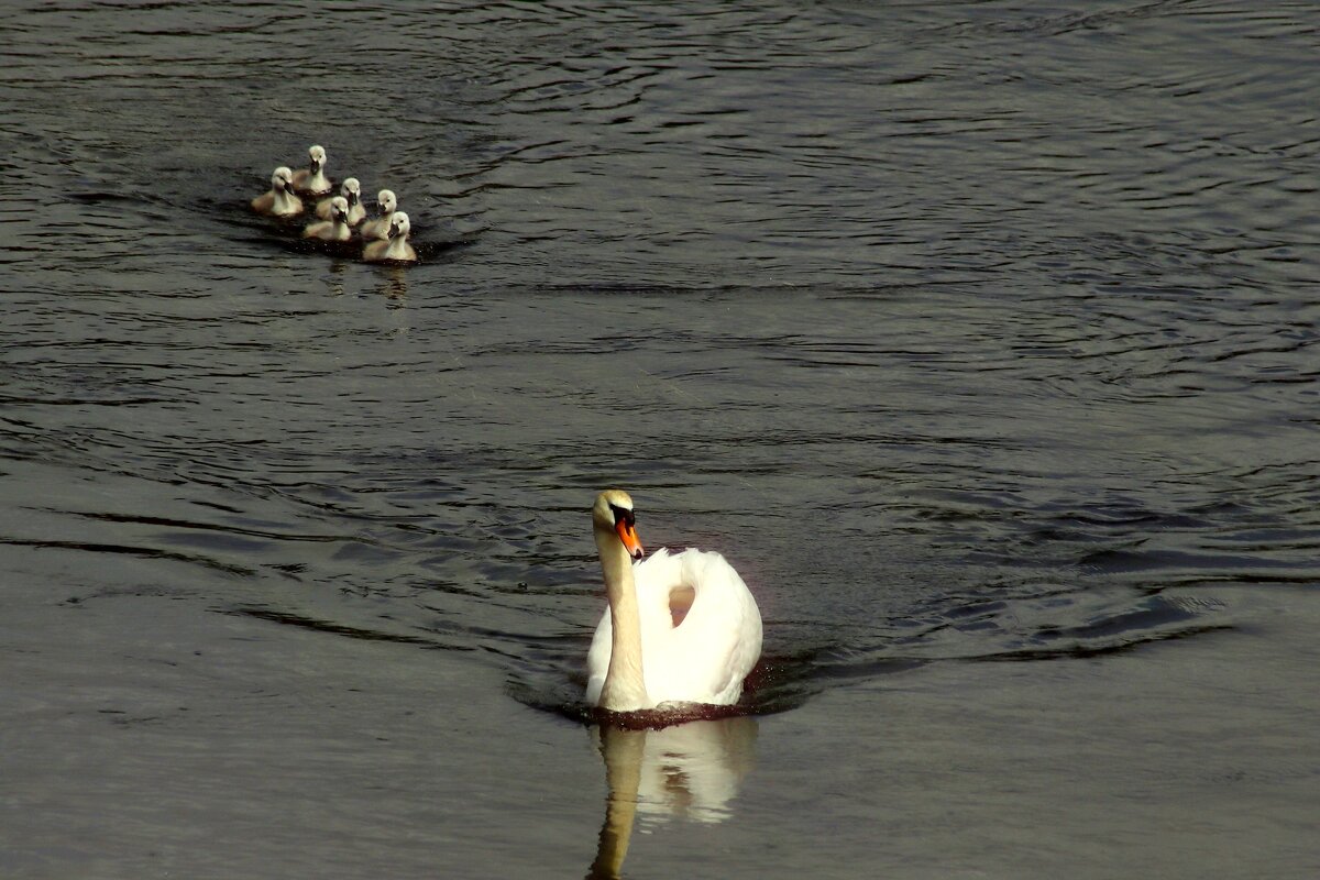 Не отставать. - Юрий. Шмаков Не отставать. - Юрий. Шмаков