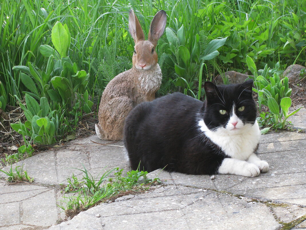 Вдвоём веселее - Людмила Смородинская