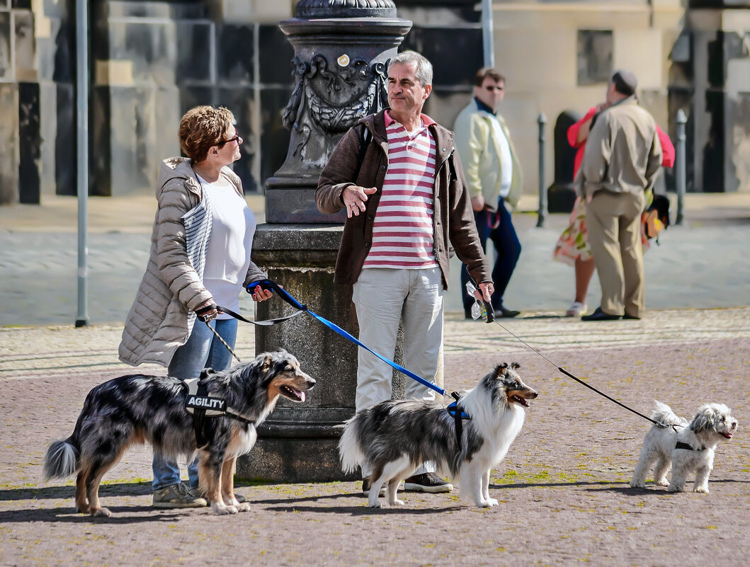 Одним бы поболтать, а другим бы погулять ... - Alexandеr P