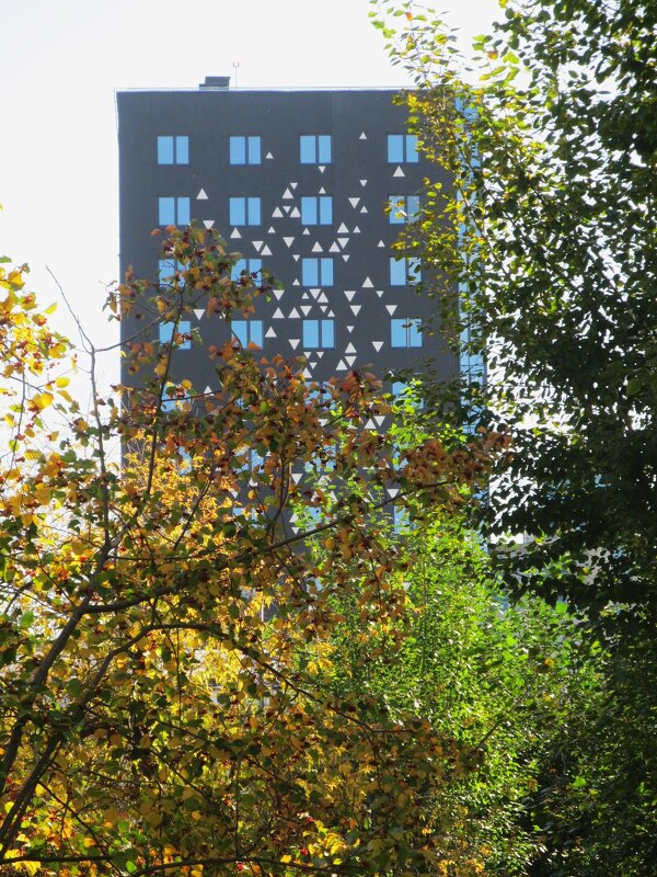 вариации на тему - Елена Шаламова вариации на тему - Елена Шаламова