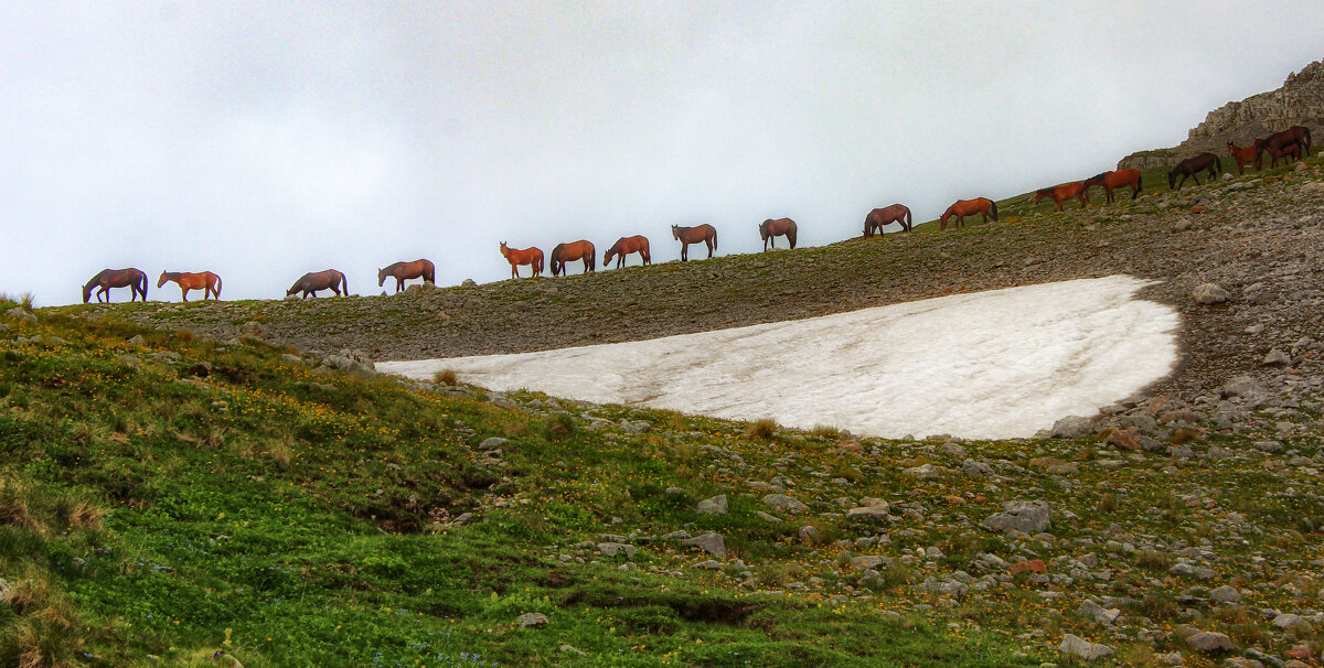 В тумане - Татьяна Сергиенко
