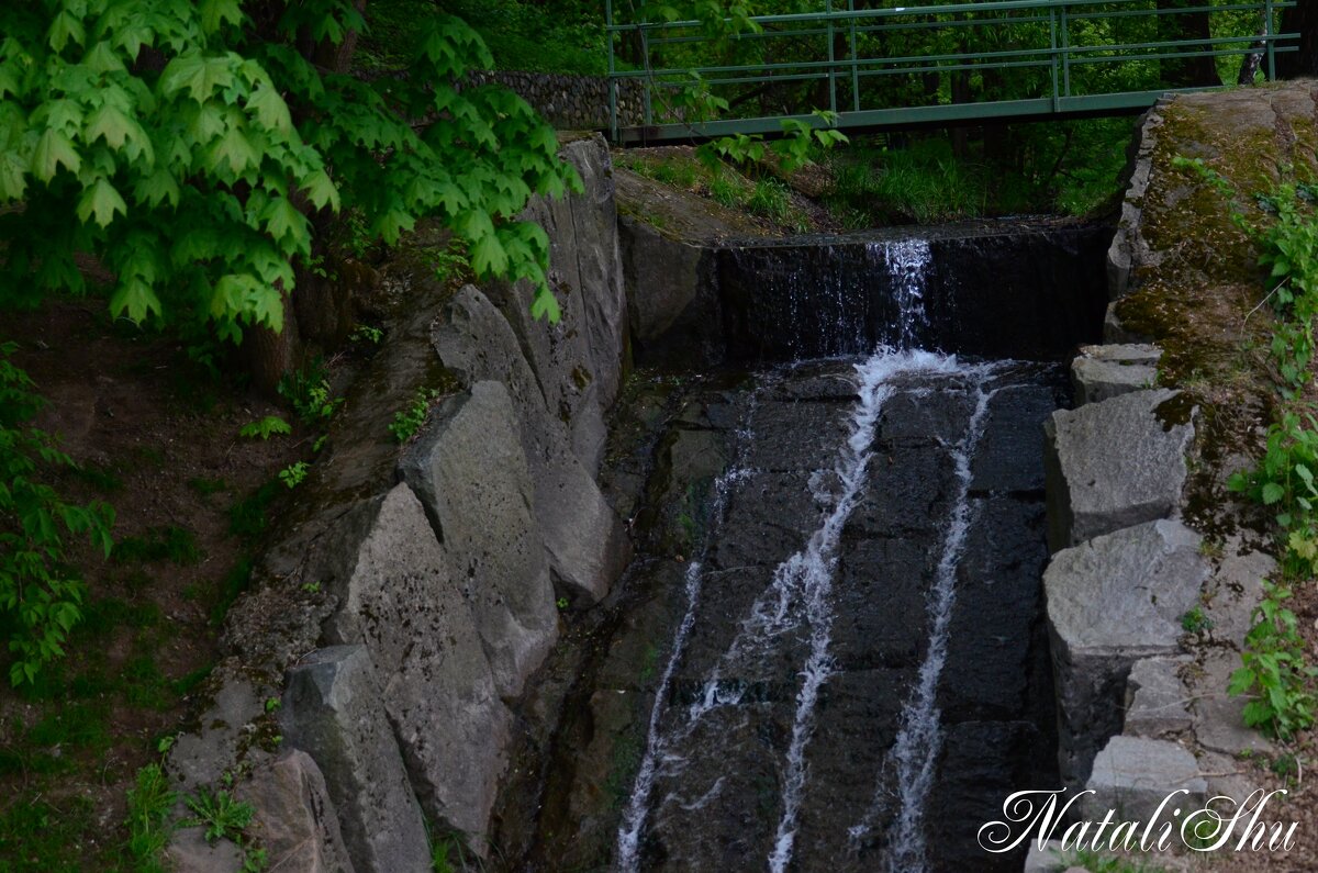 Уголок природы в городе. - Наталья Вязигина Уголок природы в городе. - Наталья Вязигина