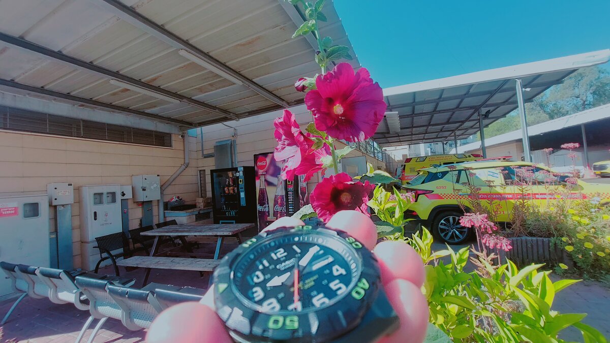 13  ОПЕН (86) - OPEN WAYS ALL