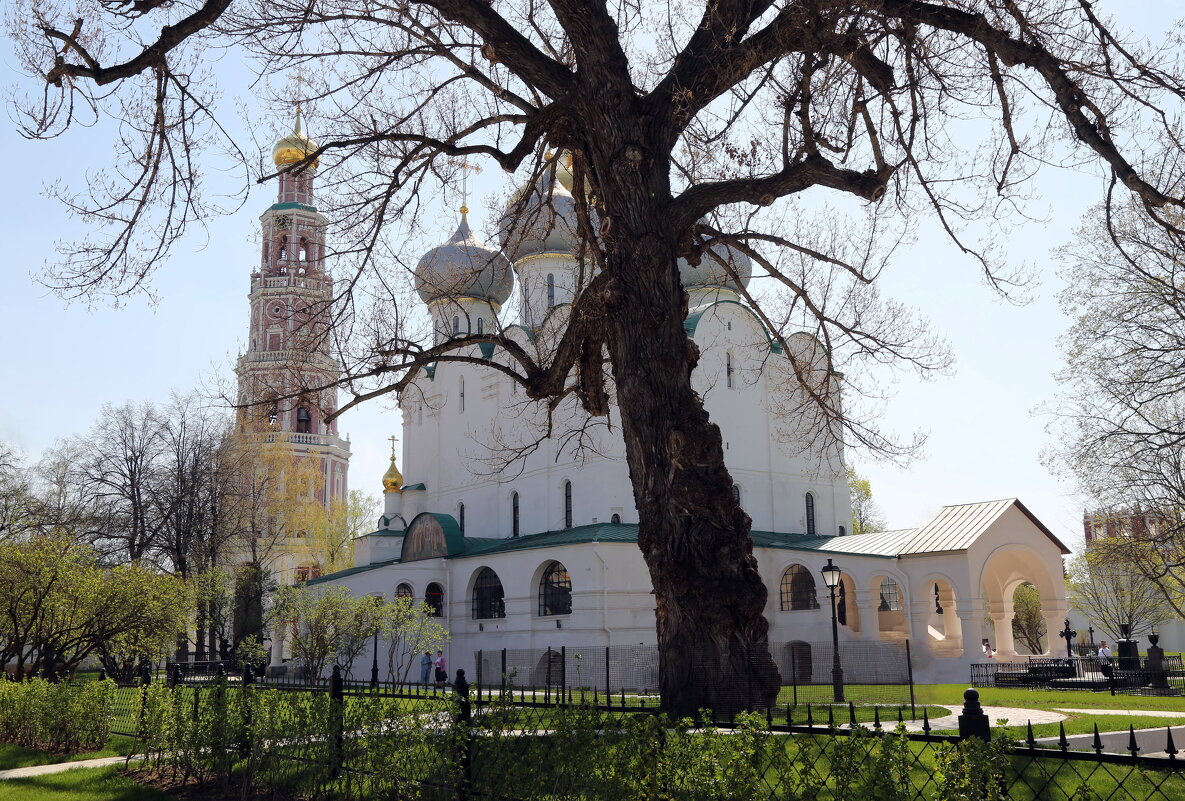 Новодевичий монастырь, собор, 1525г. - ZNatasha - Новодевичий монастырь, собор, 1525г. - ZNatasha -