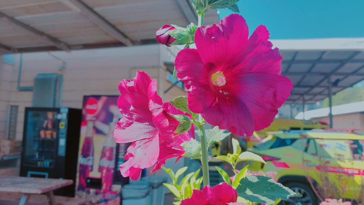 13 ОПЕН (88) - OPEN WAYS ALL 13 ОПЕН (88) - OPEN WAYS ALL