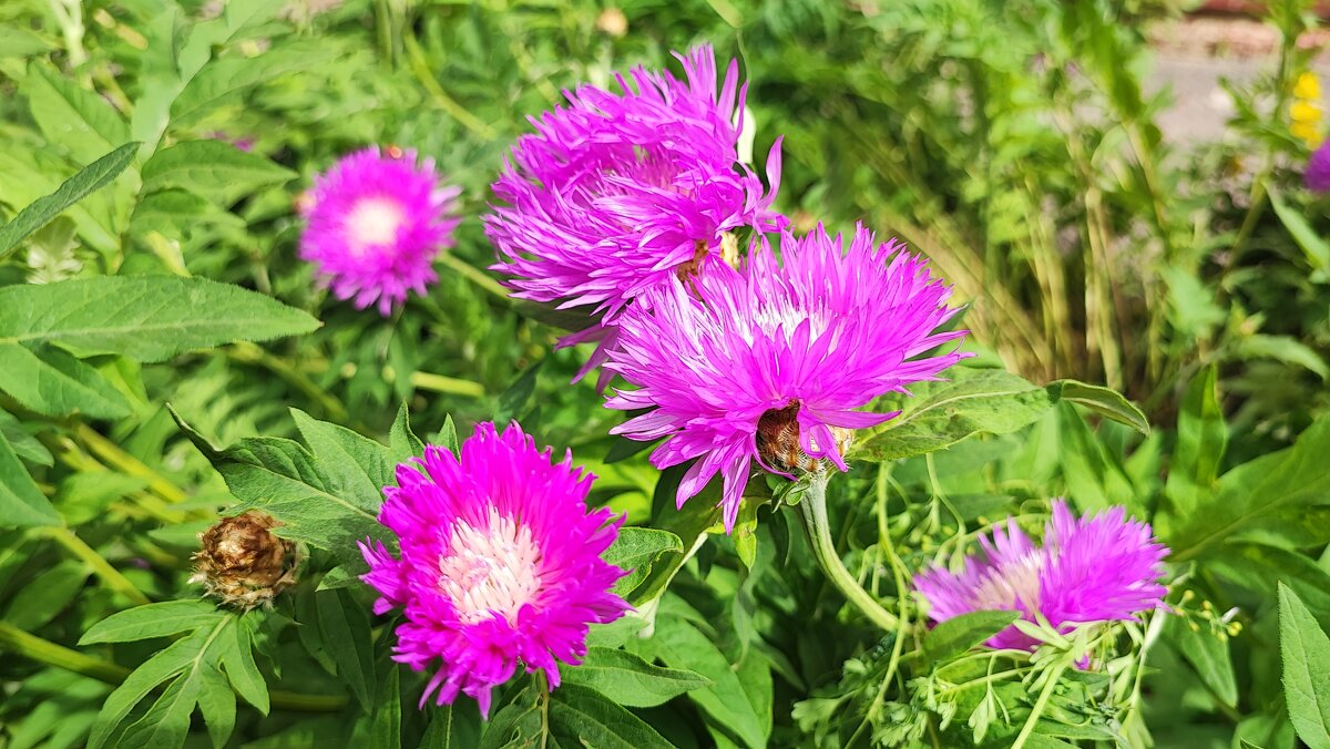 ,,, - Сергей Тимоновский ,,, - Сергей Тимоновский